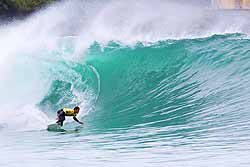 Foto:  ASP Covered Images, Karen Wilson , karen@coveredimages.com