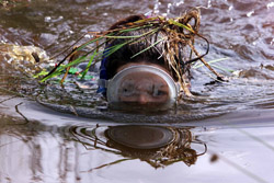 Bog Snorkelling