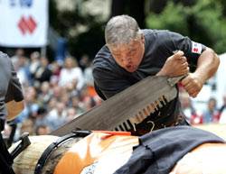 Landete auf Platz 7: Werner Brohammer