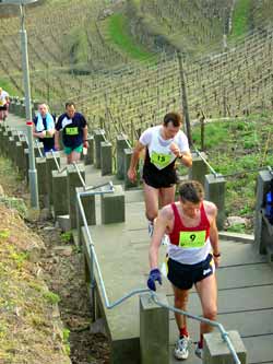 Schsischer Mount Everest Treppenmarathon