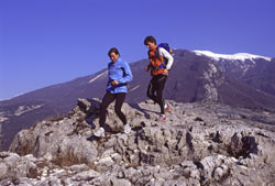 Transalpine Run