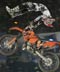 Freestyle Motocross: Red Bull X-Fighters Series 2008. Foto: Veranstalter