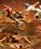 Red Bull X-Fighters.