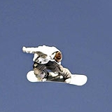 Air & Style 2009.